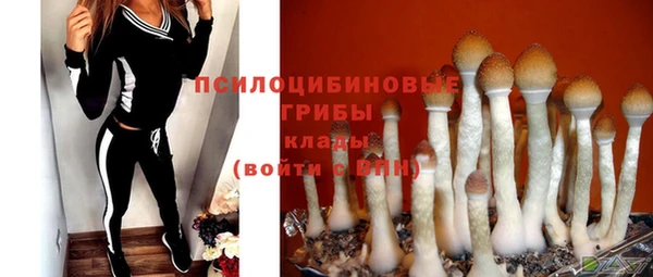 соль ск Верхнеуральск