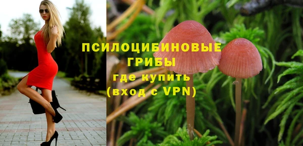 spice Тихорецк