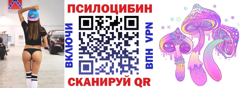 где найти наркотики  Малоархангельск  Псилоцибиновые грибы Psilocybe 